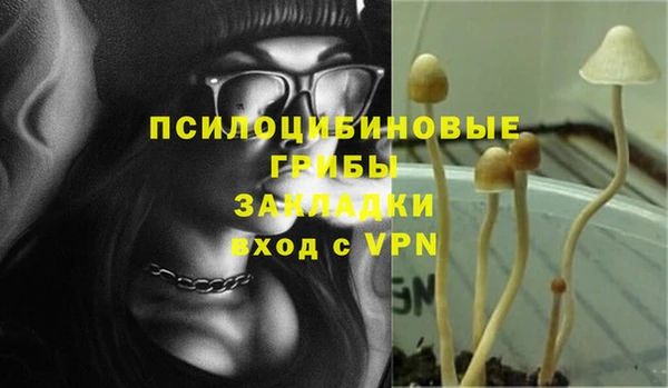 Альфа ПВП Аркадак