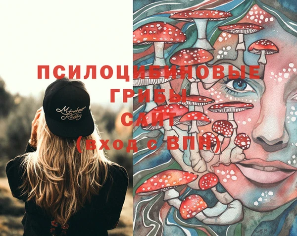 Альфа ПВП Аркадак