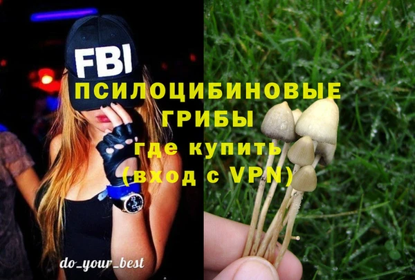 Альфа ПВП Аркадак