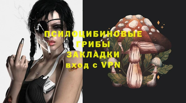 тгк Арсеньев