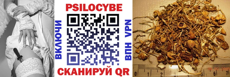 Галлюциногенные грибы Magic Shrooms  как найти закладки  Среднеколымск 